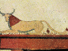 tarquinia byk tarquinia byk